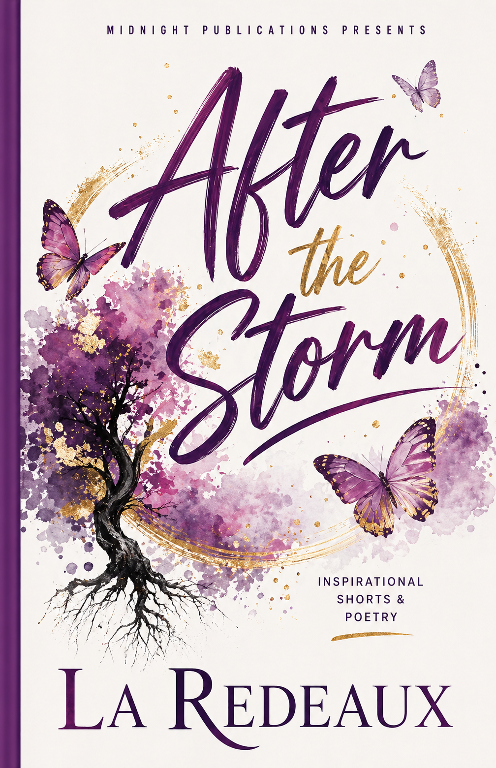 After the Storm — book cover